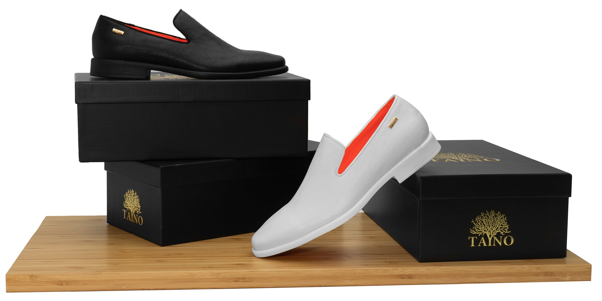 The Alpha L TAYNO Leather Loafer